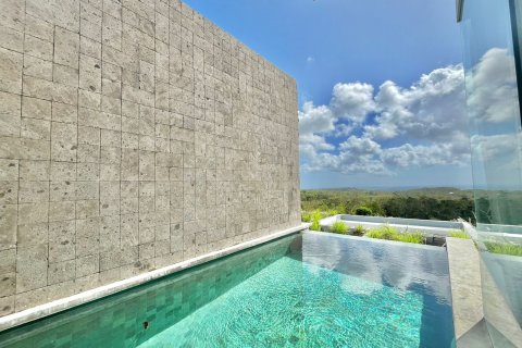 1 bedroom Villa in Kuta, Badung,  (8911) 2