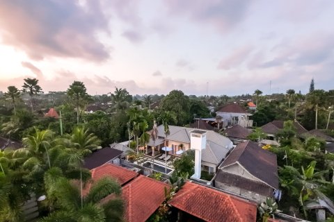3 bedrooms Villa in Ubud, Gianyar, Bali (17206) 2