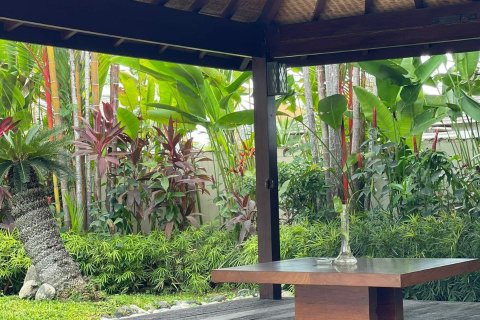 4 bedrooms Villa in Denpasar,  (9633) 16