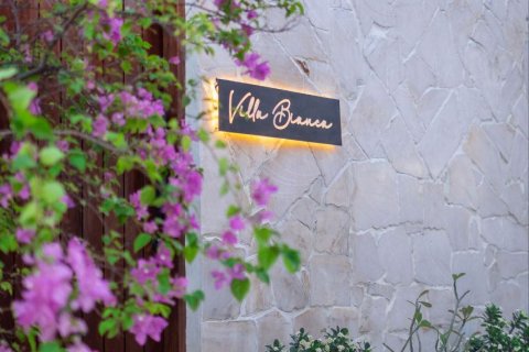 2 bedrooms Villa in Canggu, Badung, Bali (10273) 22