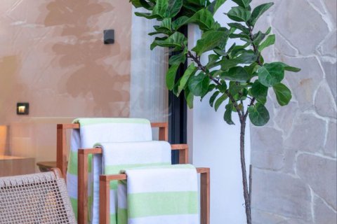 2 bedrooms Villa in Canggu, Badung, Bali (10273) 24