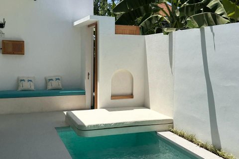 Вилла с 2 спальнями в Чангу, Бадунг,  (8895) 1