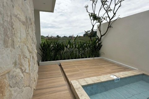 Вилла с 2 спальнями в Canggu, Бадунг, Бали (8871) 14