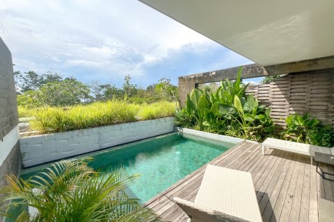 Вилла с 1 спальней в Южная Кута, Бадунг,  (8914) 13