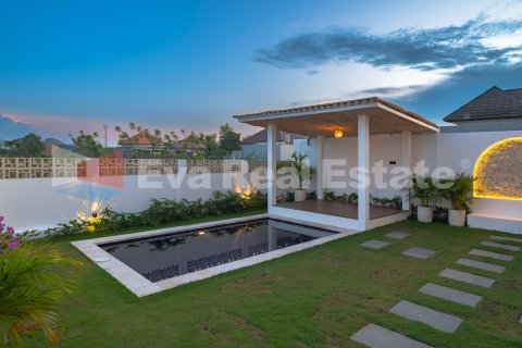 2 bedrooms Villa in Lovina, Anturan, Buleleng, Bali (14800) 19