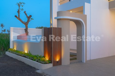 2 bedrooms Villa in Lovina, Anturan, Buleleng, Bali (14800) 7