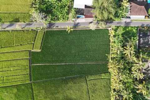 Land in Kaba-Kaba, Kediri, Tabanan, Bali (11108) 5