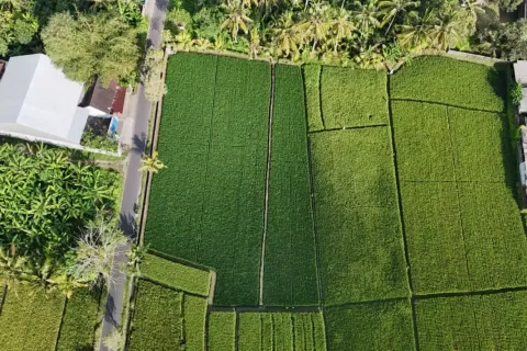 Land in Kaba-Kaba, Kediri, Tabanan, Bali (11108) 6