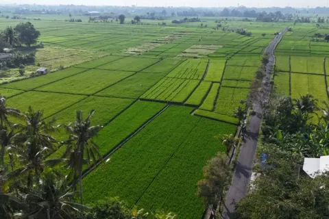 Land in Kaba-Kaba, Kediri, Tabanan, Bali (11108) 8