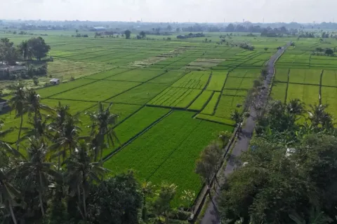 Land in Kaba-Kaba, Kediri, Tabanan, Bali (11108) 7