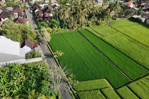 Land in Kaba-Kaba, Kediri, Tabanan, Bali (11108) 4