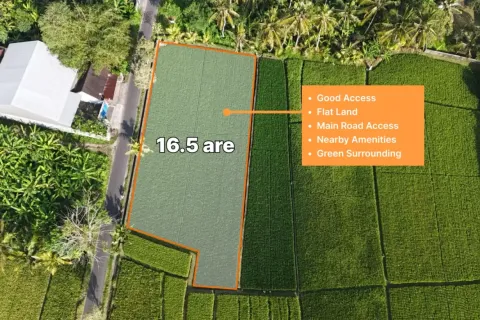 Land in Kaba-Kaba, Kediri, Tabanan, Bali (11108)