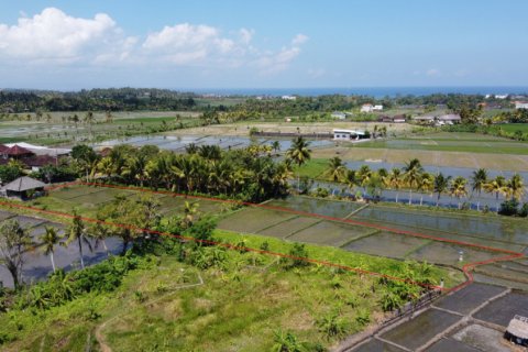 Land in Tabanan, Bali (12207)