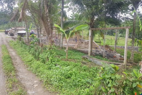 Land in Tabanan, Bali (14055) 3