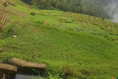 Land in Tabanan, Bali (14055) 8