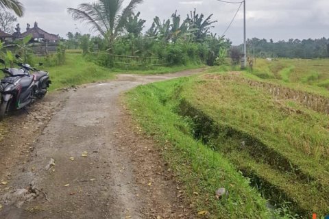 Land in Tabanan, Bali (14055) 6