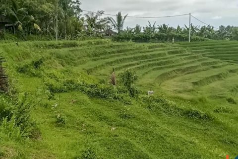 Land in Tabanan, Bali (14055) 2