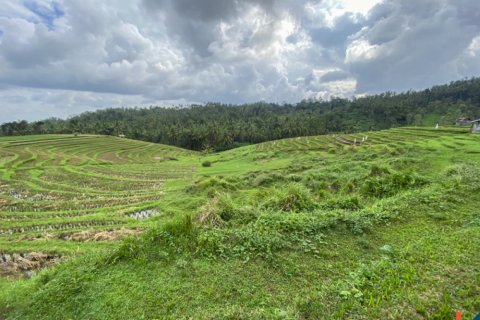Land in Tabanan, Bali (14055)