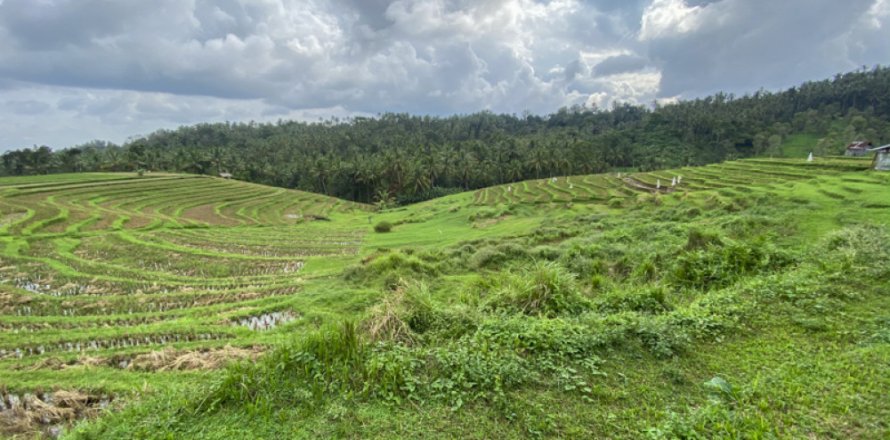Land in Tabanan, Bali (14055)