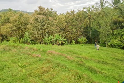 Land in Tabanan, Bali (14055) 4