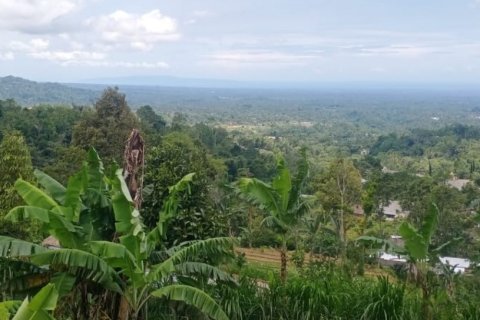 Land in Tabanan, Bali (14052) 3