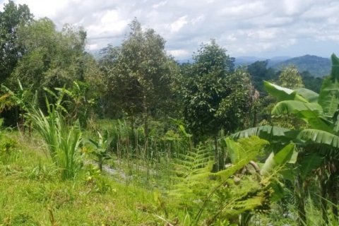Land in Tabanan, Bali (14052) 2