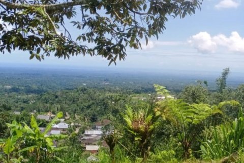 Land in Tabanan, Bali (14052)