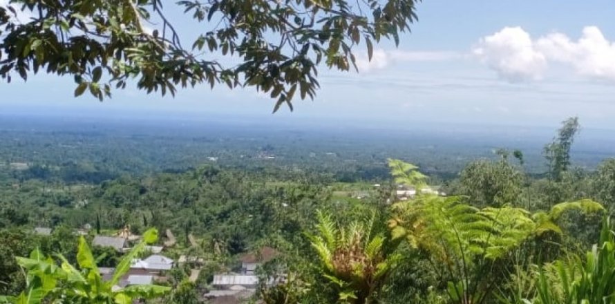 Land in Tabanan, Bali (14052)