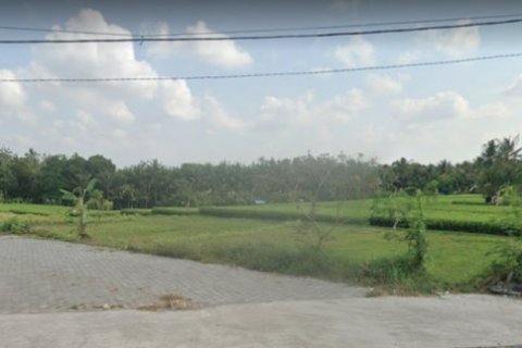 Land in Tabanan, Bali (14054) 2