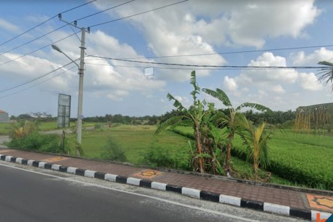 Land in Tabanan, Bali (14054) 3