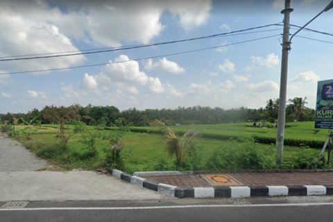 Land in Tabanan, Bali (14054)