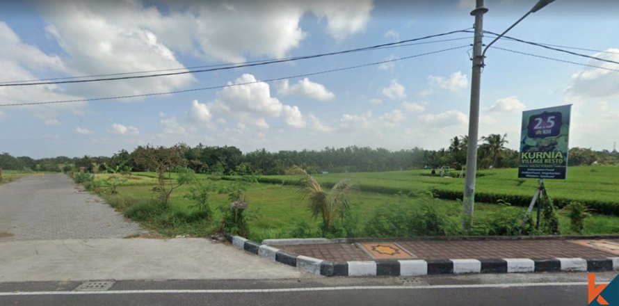 Land in Tabanan, Bali (14054)