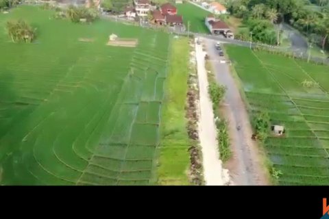 Land in Tabanan, Bali (14054) 6