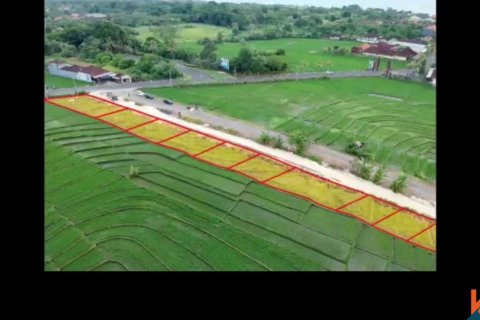 Land in Tabanan, Bali (14054) 5