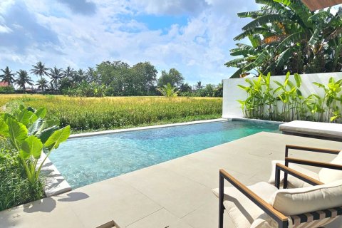 3 bedrooms Villa in Ubud, Gianyar, Bali (14117) 2