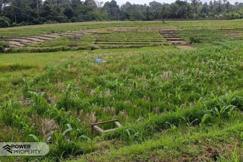 2100m2 Land in Tabanan,  (9210) 1