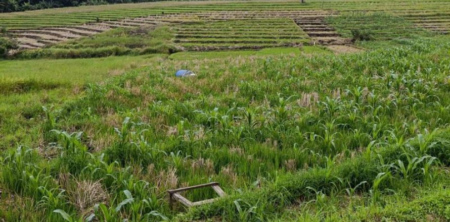 2100m2 Land in Tabanan,  (9210)