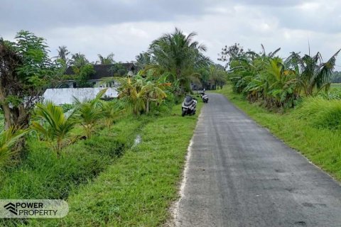 2100m2 Land in Tabanan,  (9210) 3