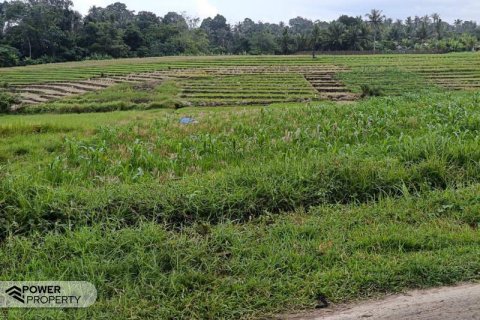 2100m2 Land in Tabanan,  (9210) 2