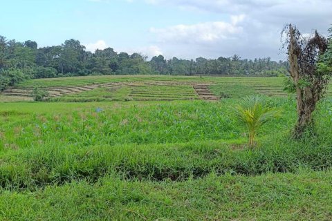 2100m2 Land in Tabanan,  (9210) 4