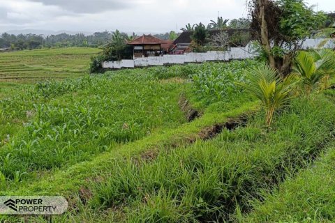 2100m2 Land in Tabanan,  (9210) 5
