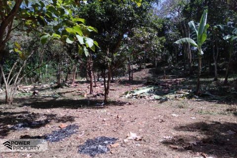 5270m2 Land in Tabanan,  (9211) 4