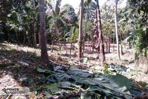 5270m2 Land in Tabanan,  (9211) 3