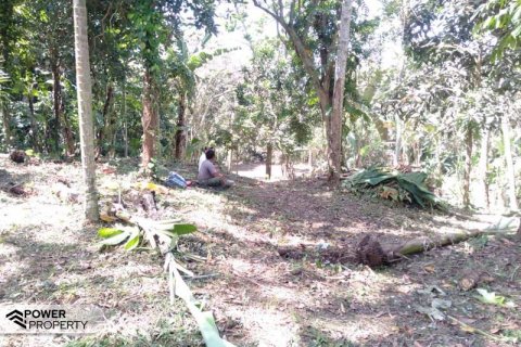 5270m2 Land in Tabanan,  (9211) 8