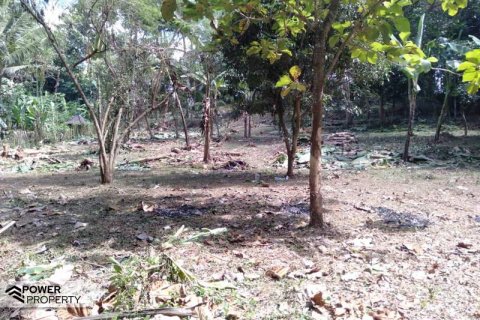 5270m2 Land in Tabanan,  (9211) 2