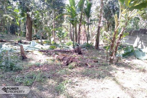 5270m2 Land in Tabanan,  (9211) 11