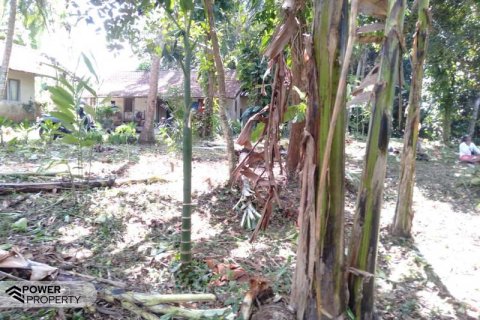 5270m2 Land in Tabanan,  (9211) 6
