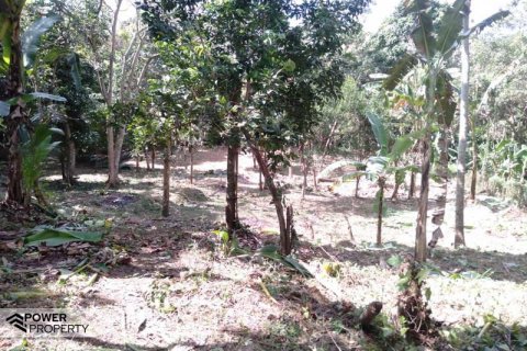 5270m2 Land in Tabanan,  (9211) 1