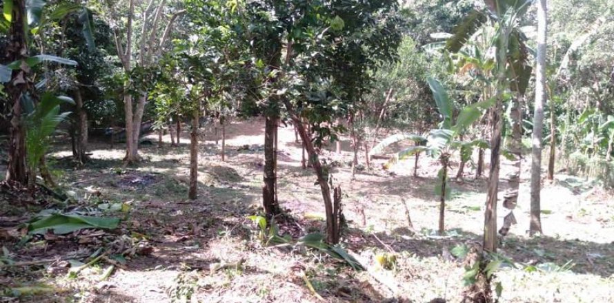5270m2 Land in Tabanan,  (9211)