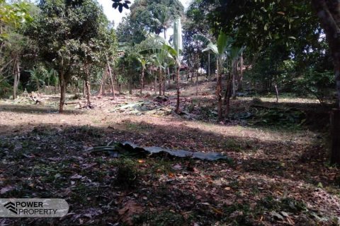 5270m2 Land in Tabanan,  (9211) 9